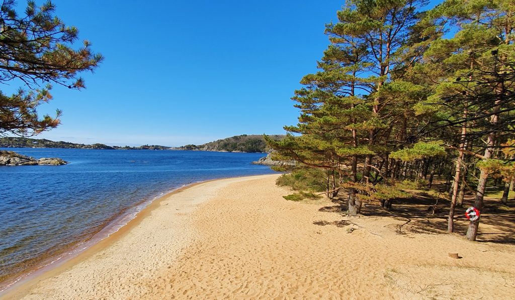 Risøbank beach